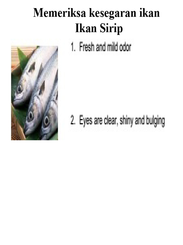 Ciri-Ciri Kesegaran Ikan dan Kerang | PDF