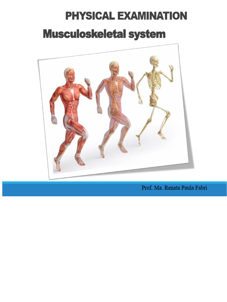Musculoskeletal System Examination Guide | PDF | Human Musculoskeletal ...
