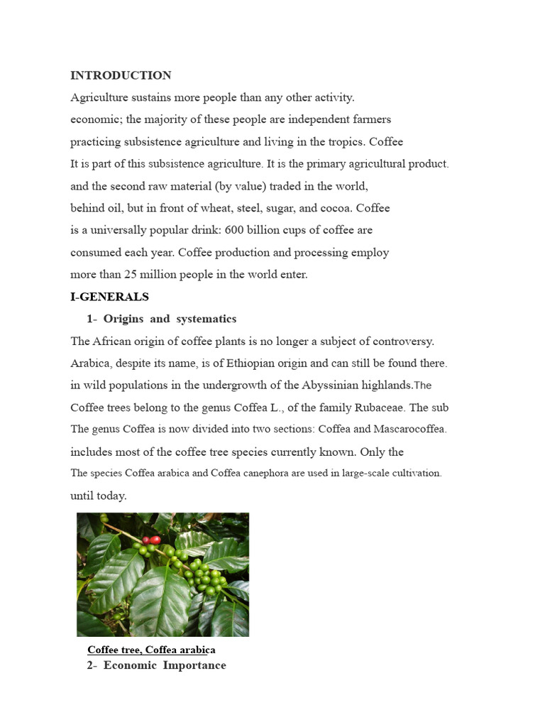 Coffee: Cultivation and Benefits Guide | PDF | Coffee | Trees