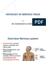 1st Lecture On Histology of Nervous Tissue by Dr. Roomi
