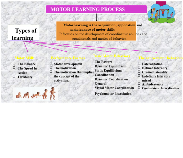 Motor Learning | PDF
