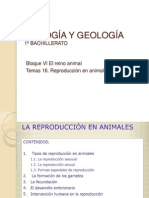 BIOLOGÍA Y GEOLOGÍA Tema 16. Reproducción en Animales