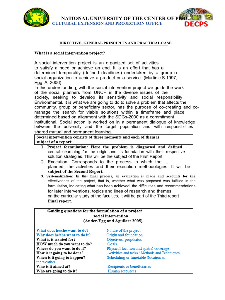 Project Formats and Social Projection Reports 2020-I | PDF