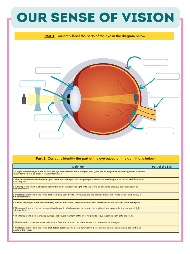Vision Scenarios Extra Credit | PDF