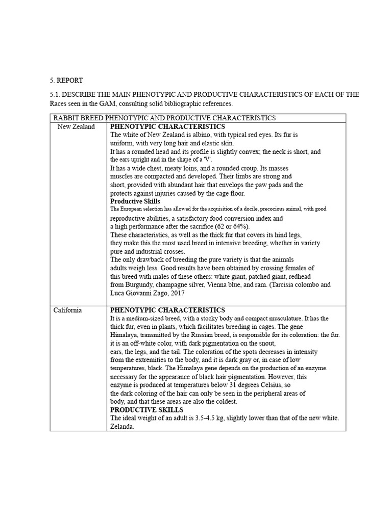 Rabbit Breed Report | PDF | Rabbit | Hair