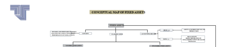 Fixed Assets Conceptual Map Guide | PDF