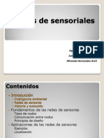 Redes Sensoriales