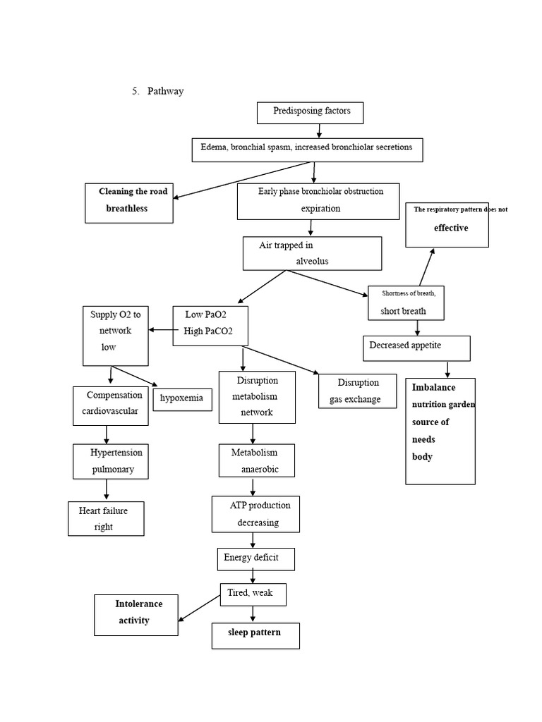 Respiratory Pathway and Complications | PDF