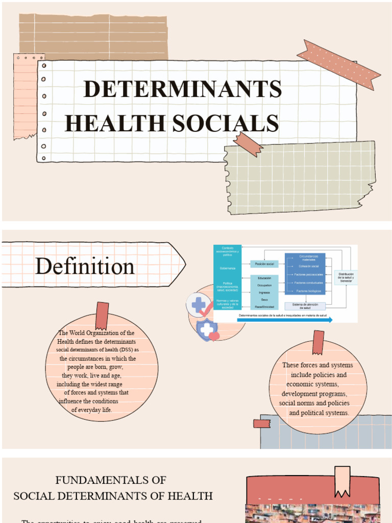 Social Determinants of Health | PDF | Poverty | Poverty & Homelessness