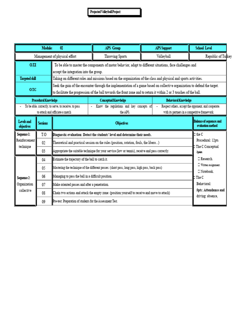 00 (Projected Project) | PDF | Volleyball | Psychology