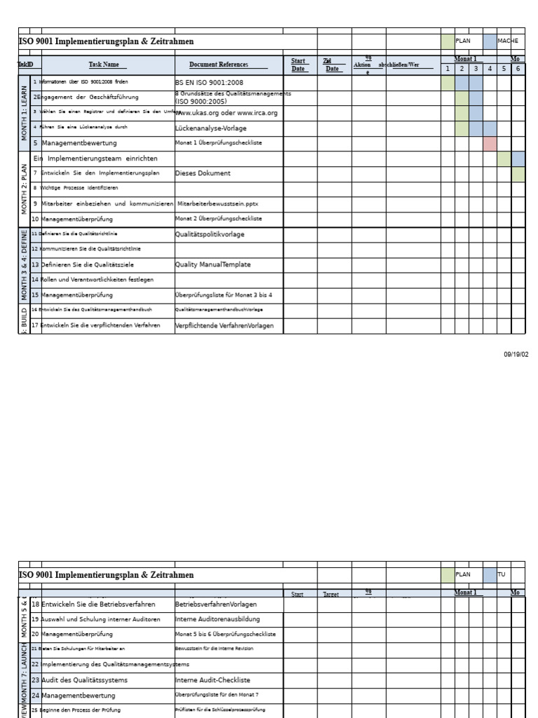ISO 9001 Implementierungsplan | PDF