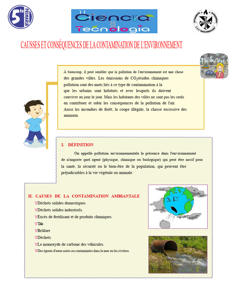 Causes et effets de la pollution environnementale | PDF | la pollution ...