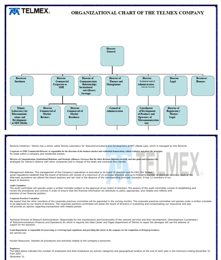 Telmex Organizational Chart | PDF | Board Of Directors | Audit Committee