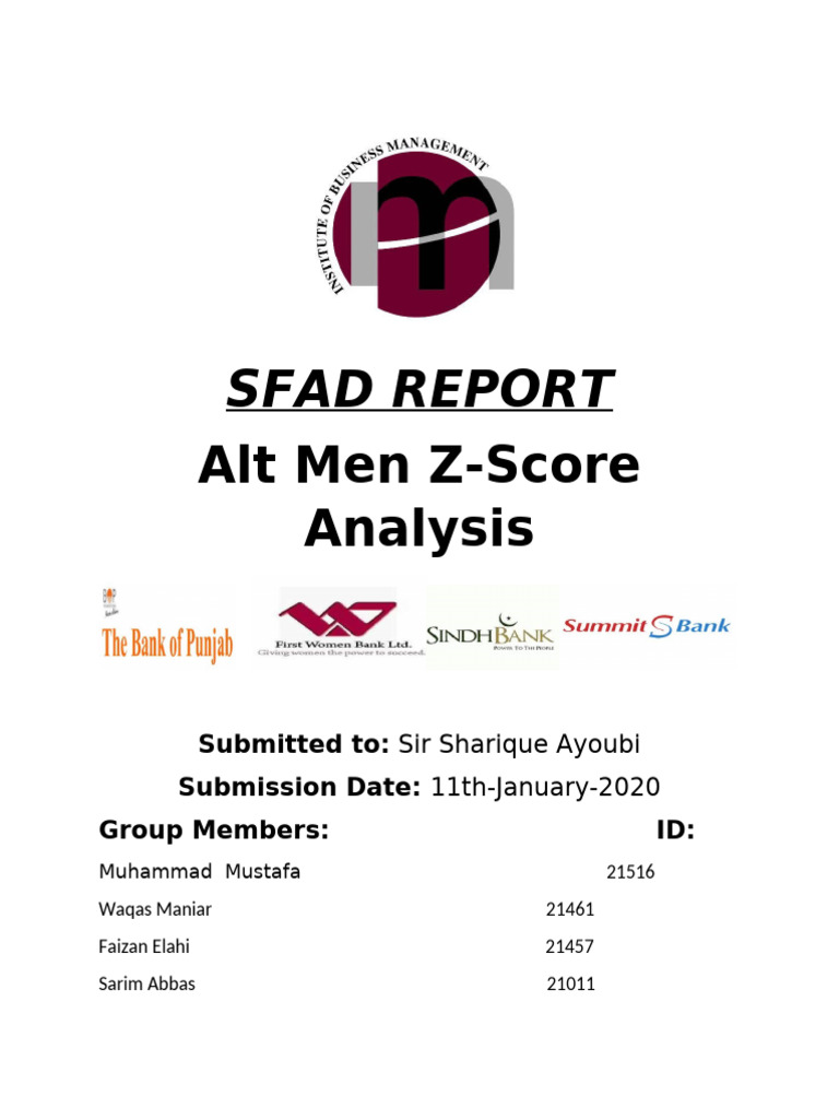 Final SFAD Report | PDF | Standard Score | Equity (Finance)