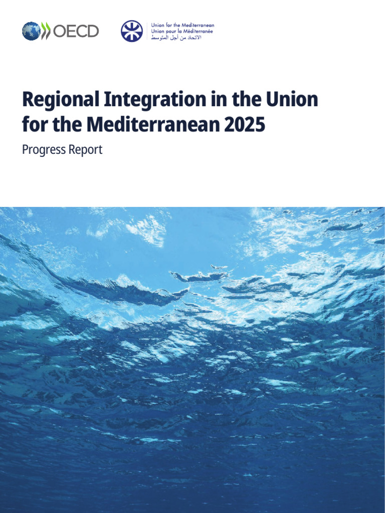 Regional Integration in The Union | PDF | Economies