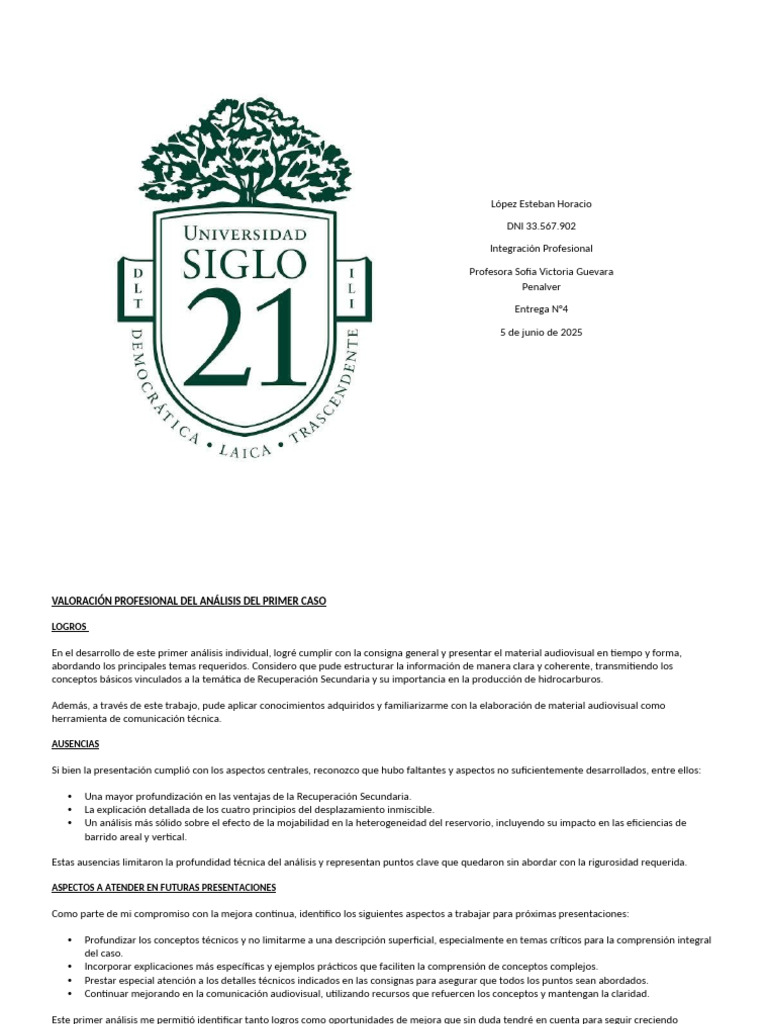Valoración Profesional TP4 Hidrocarburos | PDF | Aprendizaje
