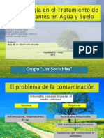 Biotecnologia en El Tto de Contaminantes en Agua y Suelo