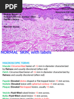 Target and Targetoid Lesions in Dermatology | PDF | Diseases And ...