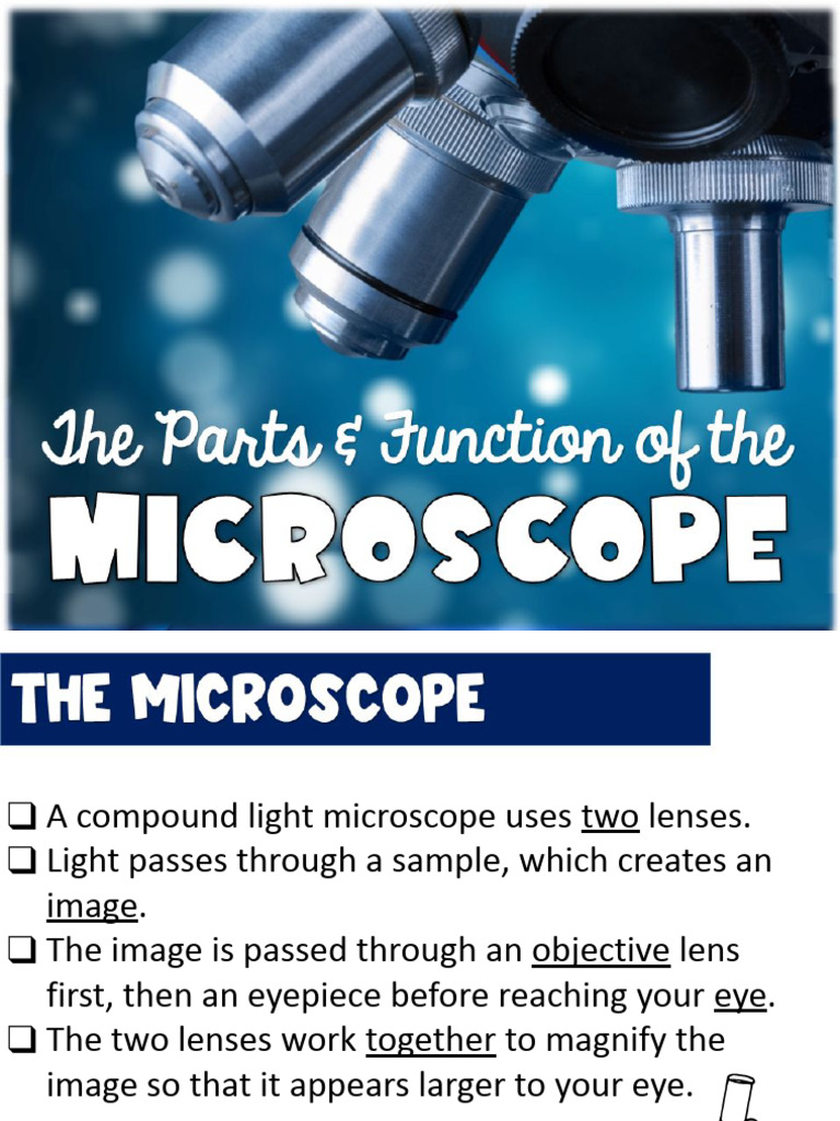 Microscope Parts and Usage Guide | PDF | Light | Scientific Techniques