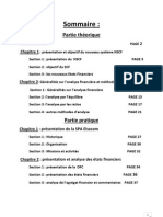Memoire Analyse Financiere 2010