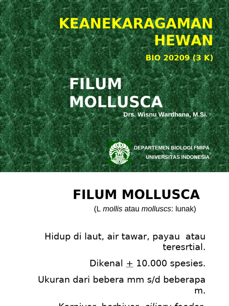 Keanekaragaman Filum Mollusca | PDF