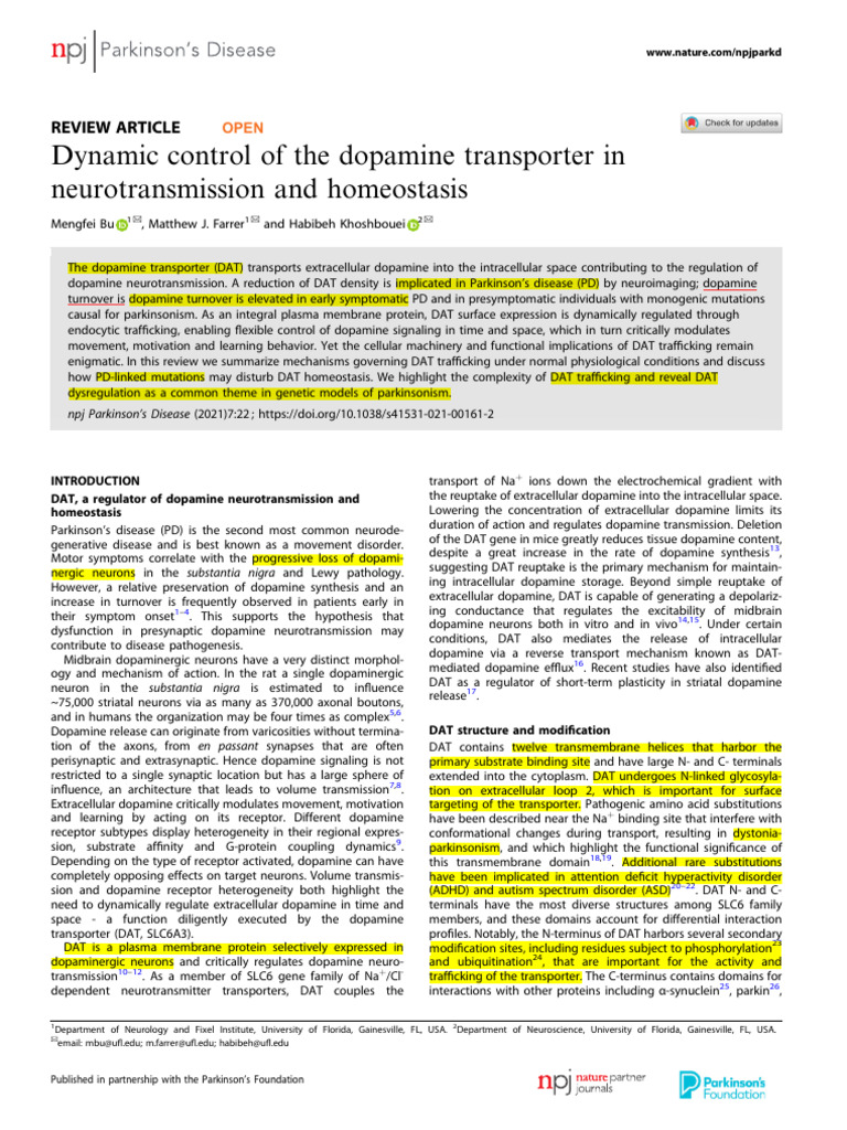 Dynamic Dopamine Transporter Control | PDF | Dopamine | Synapse