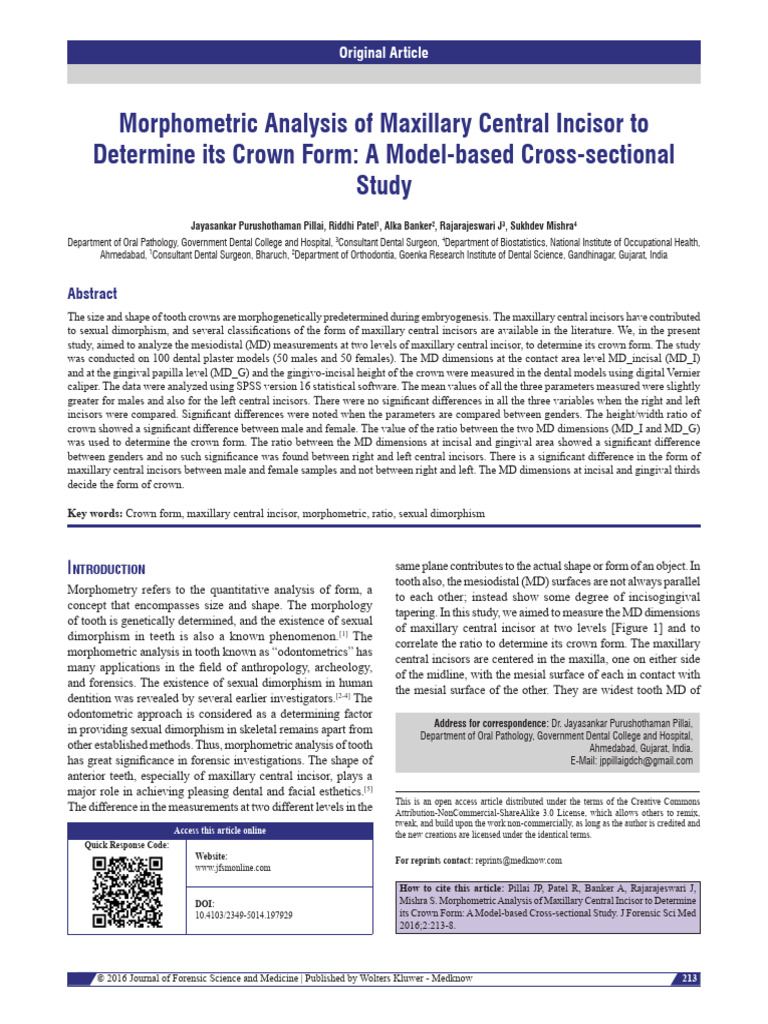 Maxillary Central Incisor Morphometry Study | PDF | Standard Deviation ...