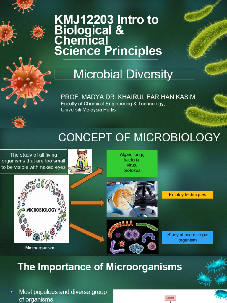 Introduction to Microbiology Principles | PDF | Microorganism ...