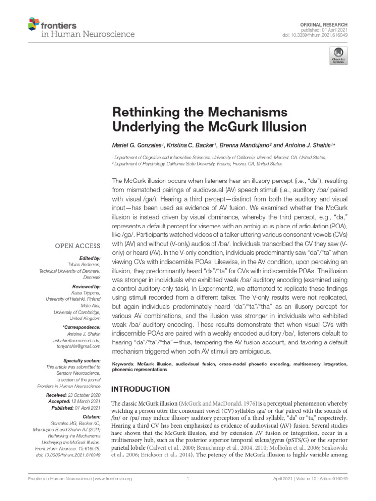 McGurk Illusion: Visual Dominance Explained | PDF | Illusion | Perception