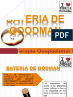 Expo de Bateria de Goodman