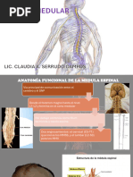 Escala ASIA para Lesiones Medulares | PDF | Médula espinal | Anatomía ...
