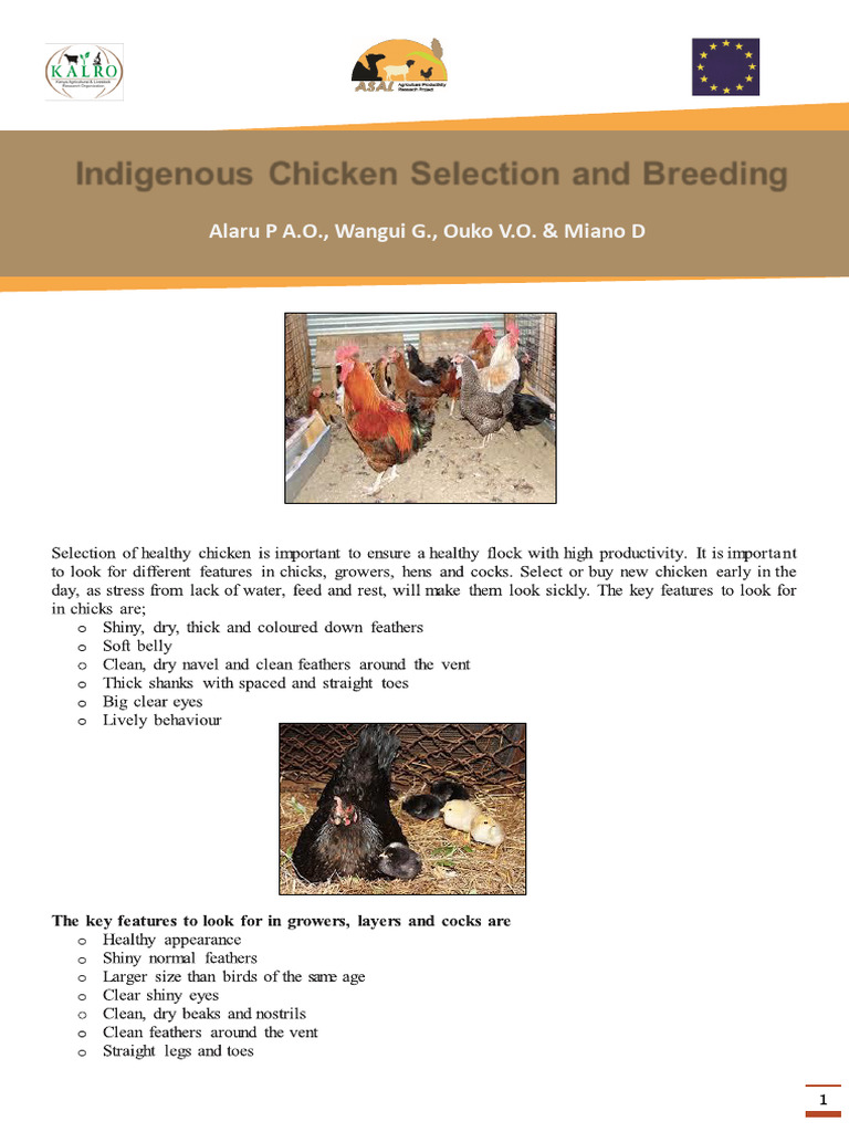 Healthy Chicken Selection Guide | PDF