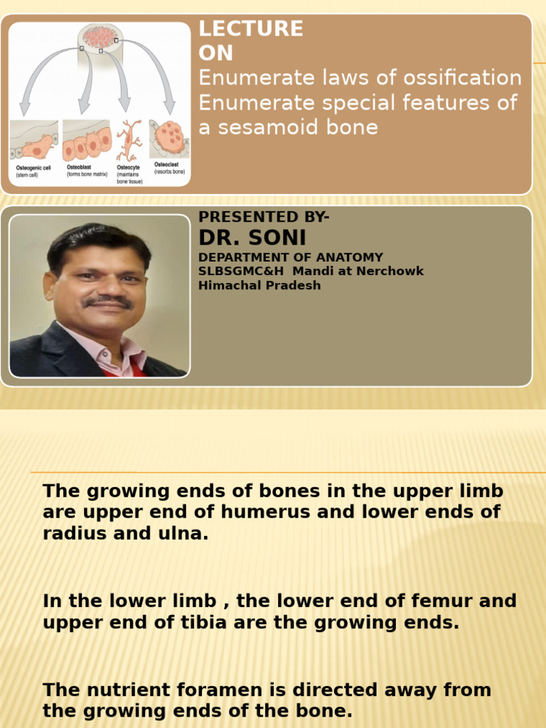 Laws of Ossification & Sesamoid Bones | PDF | Bone | Anatomy