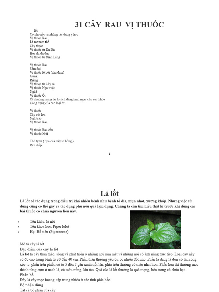 Cây Rau | PDF