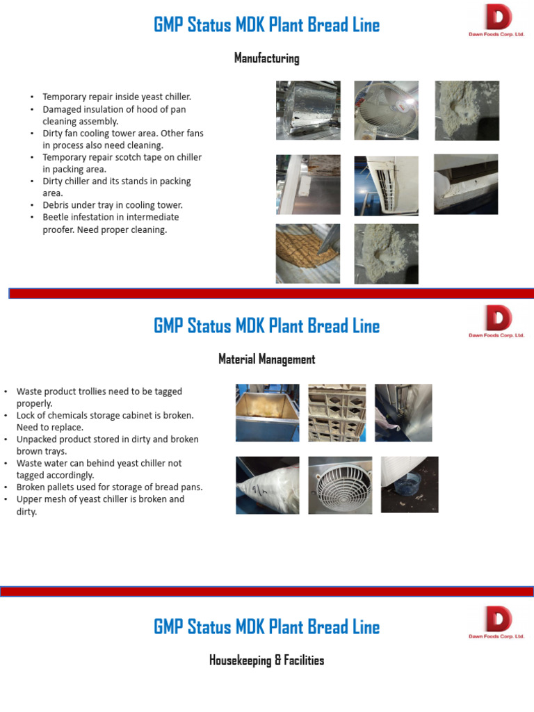 Bread GMP Details | PDF