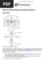 Anatomy and Function of DCML Pathway | PDF | Neuroscience | Nervous System