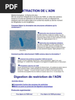 Download Extraction de l by Mirabilis Mino SN95060969 doc pdf