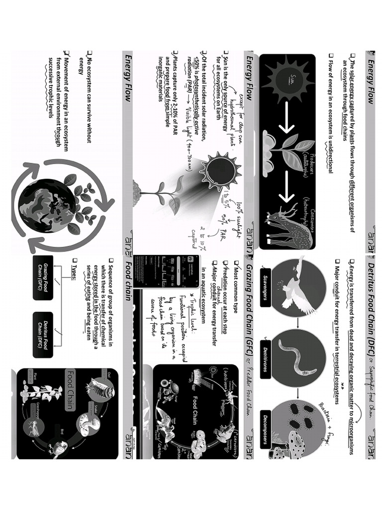 LIVE - Class12Ecosystem#2-Invert (N-Up 3x2) | PDF