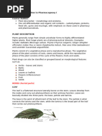 Understanding Grass Structure | PDF | Plants | Botany