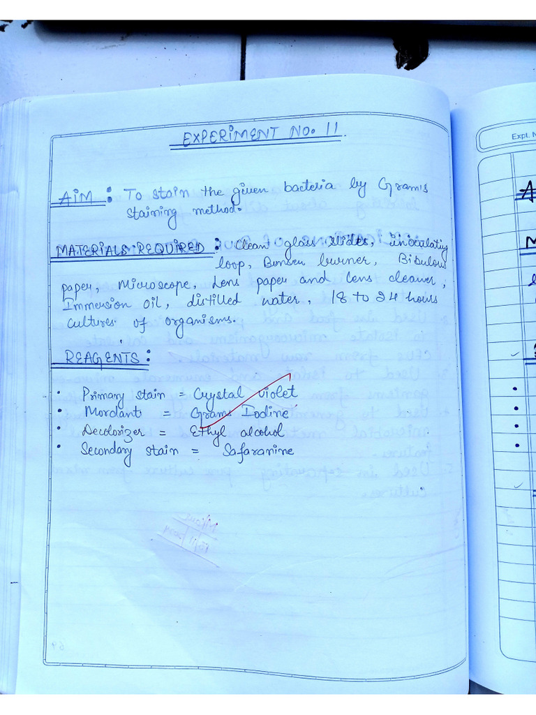 Microbiology Exp 11 | PDF