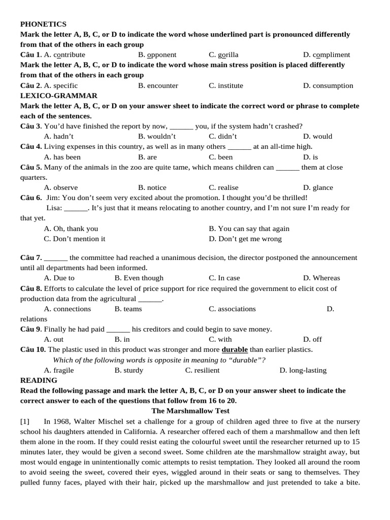 Phonetics and Lexico-Grammar Exercises | PDF | Electric Vehicle | Self ...