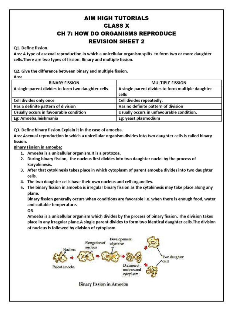 Class X Revision: Organism Reproduction | PDF | Reproduction | Plants