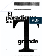 6 Paradigma de T Grande Alejandro Ruelas
