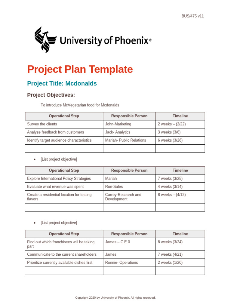 BUS475 v11 Wk4 Project Plan Template | PDF