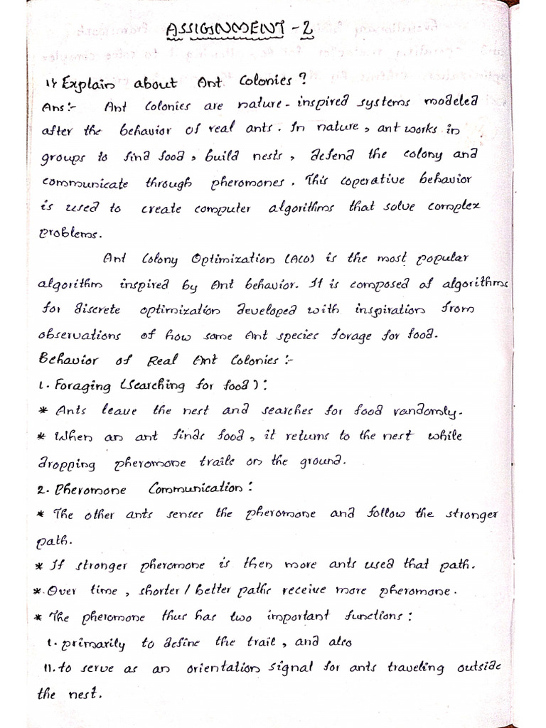 Nic 2 | PDF