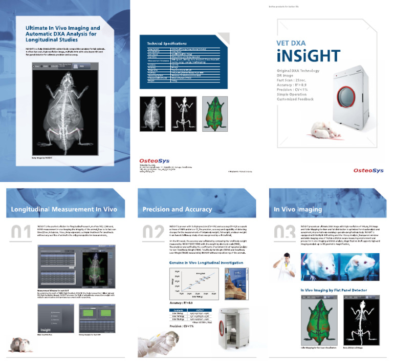 Insight en Ver 003 | PDF