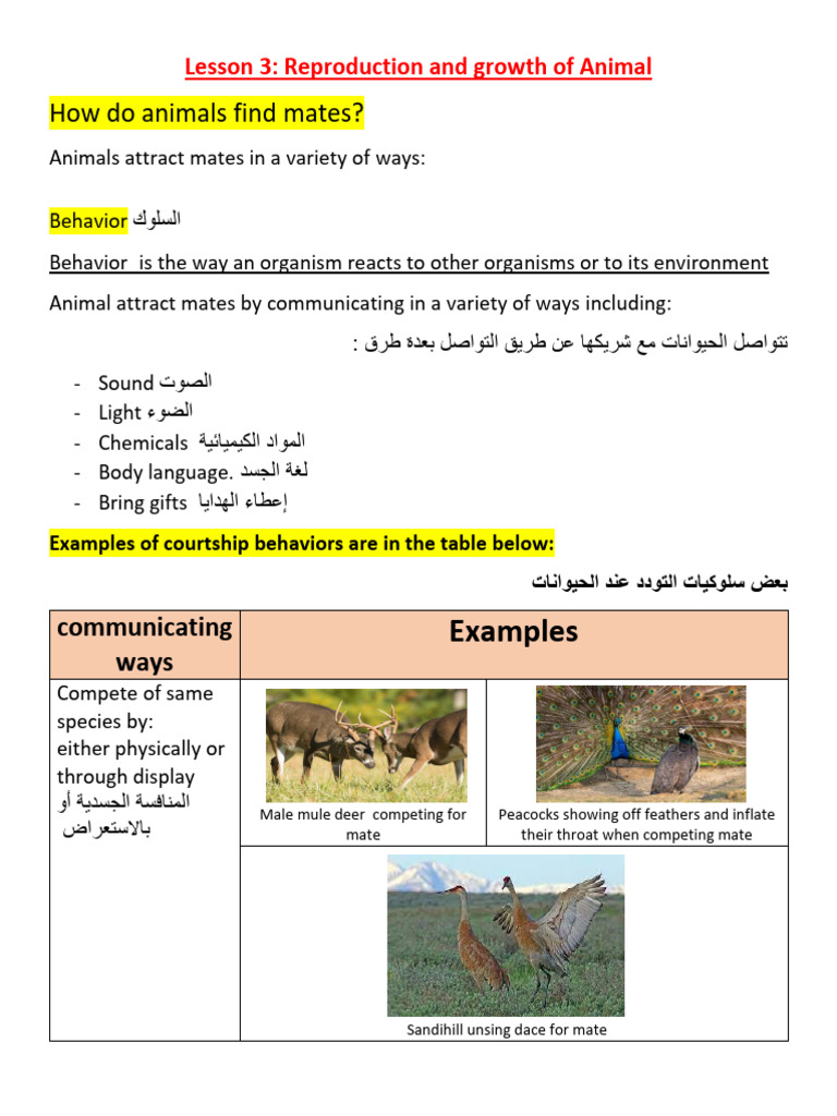 Animal Mating and Growth Behaviors | PDF | Mating | Zoology