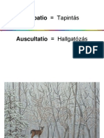 Palpatio Auscultatio