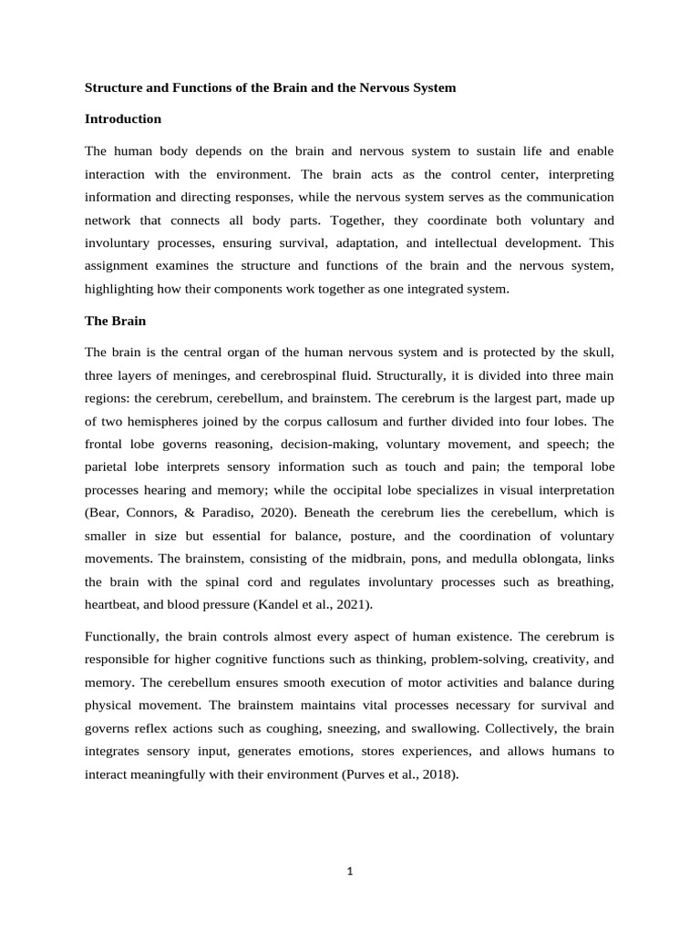 Brain and Nervous System Overview | PDF | Central Nervous System ...