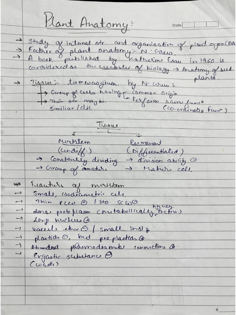Anatomy Notes 12th Wala | PDF